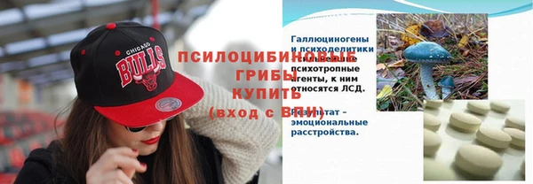 прущие крисы Балахна